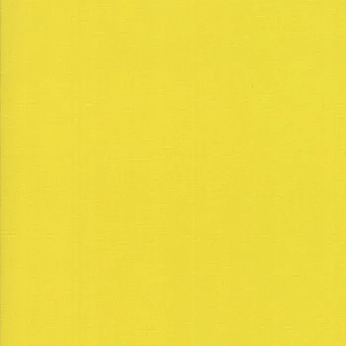 Bella Solids Citrine
