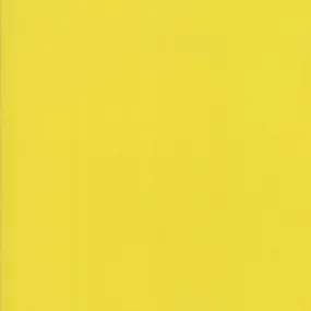 Bella Solids Citrine