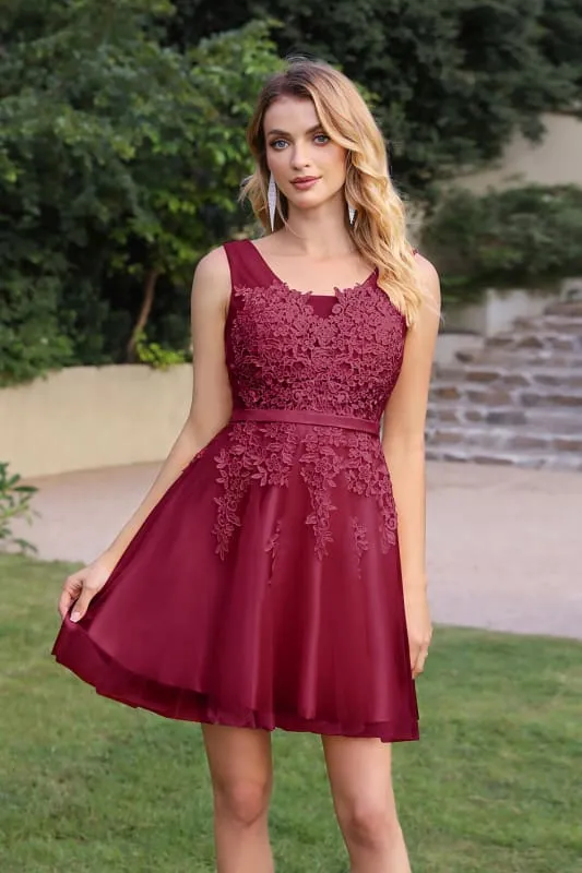 Burgundy Short Formal Gown Lace Applique V Neck Homecoming Dresses